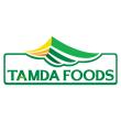 logo - Tamda Foods